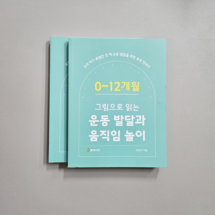 (반품/손상) 그림으로 읽는 운동발달과 움직임 놀이 (0~12개월)